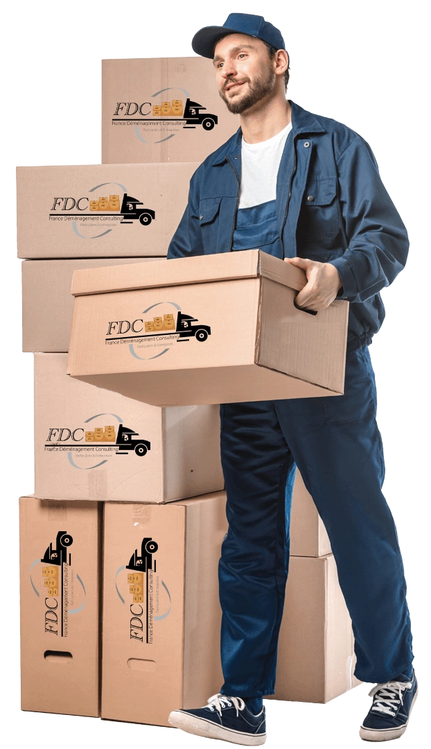 Déménageur France Dem Consulting portant une pile de cartons