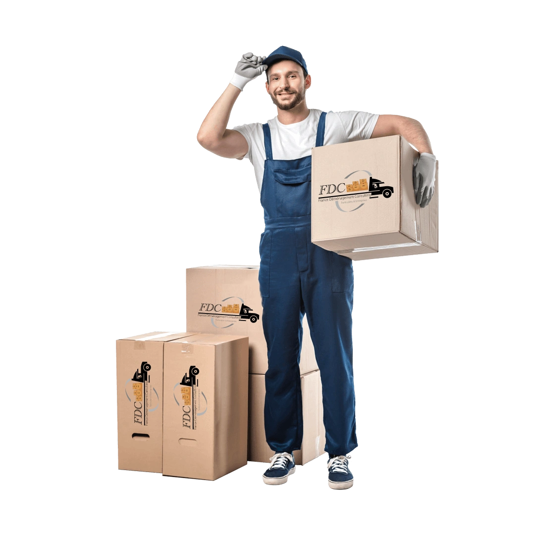 Déménageur France Dem Consulting avec ses cartons de déménagement